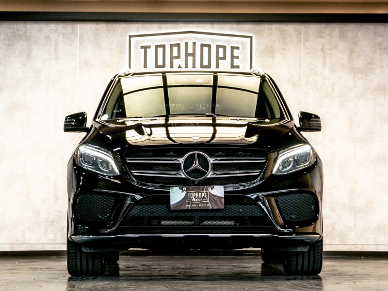 LINE_ALBUM_2016 GLE400_251124_33