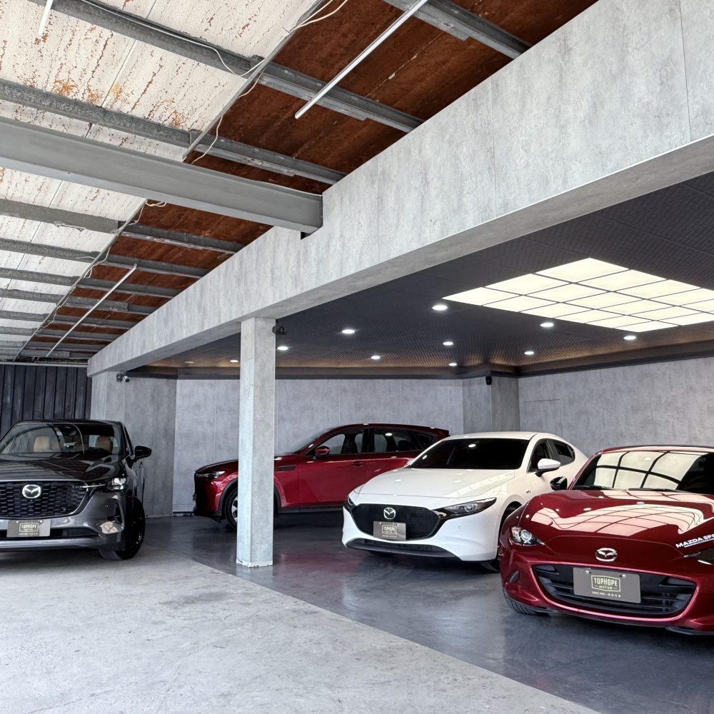 文中店20251220 (4)